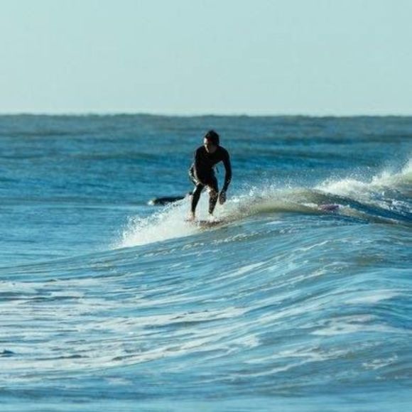 Meet your Posher, Gaelan - Picture 1 of 1